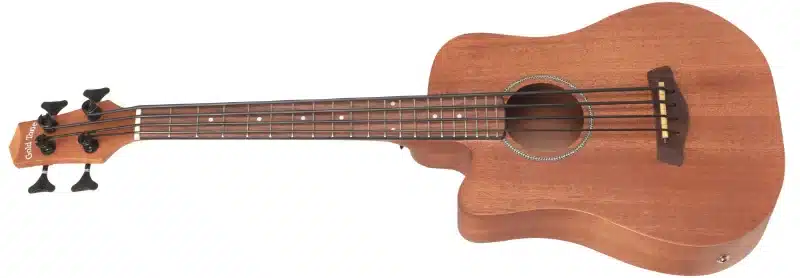 Gold Tone M-BASS/L Microbass