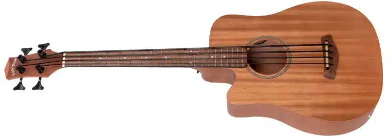 Gold Tone M-BASS25/L Microbass